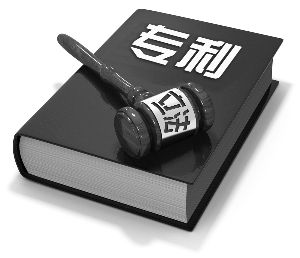 實(shí)行嚴(yán)格的知識(shí)產(chǎn)權(quán)制度勢(shì)在必行！