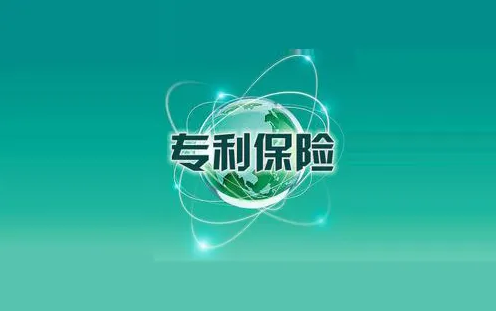 專利保險存在什么問題，對企業(yè)盈利有何影響？